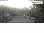 Archiv Foto Webcam Fehmarn: Marktplatz in Burg 19:00