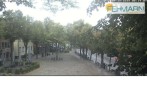 Archiv Foto Webcam Fehmarn: Marktplatz in Burg 07:00