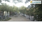 Archiv Foto Webcam Fehmarn: Marktplatz in Burg 17:00