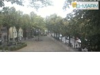 Archiv Foto Webcam Fehmarn: Marktplatz in Burg 08:00