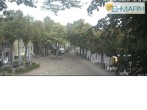 Archiv Foto Webcam Fehmarn: Marktplatz in Burg 09:00