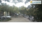Archived image Webcam Fehmarn: View Market Place in Burg 11:00
