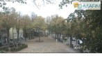 Archiv Foto Webcam Fehmarn: Marktplatz in Burg 10:00