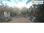 Archiv Foto Webcam Fehmarn: Marktplatz in Burg 12:00