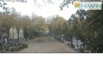 Archiv Foto Webcam Fehmarn: Marktplatz in Burg 13:00