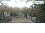 Archiv Foto Webcam Fehmarn: Marktplatz in Burg 15:00
