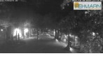 Archiv Foto Webcam Fehmarn: Marktplatz in Burg 21:00