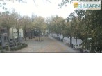 Archiv Foto Webcam Fehmarn: Marktplatz in Burg 07:00