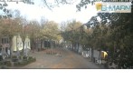 Archiv Foto Webcam Fehmarn: Marktplatz in Burg 09:00