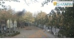 Archiv Foto Webcam Fehmarn: Marktplatz in Burg 11:00