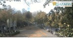Archiv Foto Webcam Fehmarn: Marktplatz in Burg 13:00