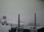 Archived image Webcam Treetop Walk Neckertal 15:00