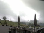 Archived image Webcam Treetop Walk Neckertal 07:00
