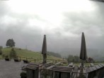 Archived image Webcam Treetop Walk Neckertal 09:00