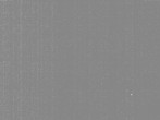 Archived image Webcam Treetop Walk Neckertal 01:00