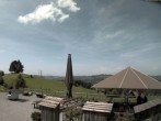 Archiv Foto Webcam Baumwipfelpfad Neckertal 13:00