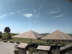 Archived image Webcam Treetop Walk Neckertal 13:00