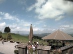 Archived image Webcam Treetop Walk Neckertal 11:00
