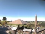 Archived image Webcam Treetop Walk Neckertal 13:00