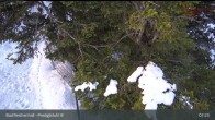 Archived image Webcam Bad Reichenhall - Top Station Predigstuhl Cable car 06:00