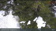Archived image Webcam Bad Reichenhall - Top Station Predigstuhl Cable car 08:00