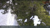Archived image Webcam Bad Reichenhall - Top Station Predigstuhl Cable car 12:00