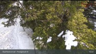 Archived image Webcam Bad Reichenhall - Top Station Predigstuhl Cable car 14:00