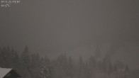 Archiv Foto Webcam Oberstaufen - Blick Hochgrat vom Biohotel Schratt 02:00