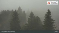 Archiv Foto Webcam Ochsenkopf - Ausblick vom Asenturm 11:00