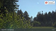 Archiv Foto Webcam Mehlmeisel im Fichtelgebirge 16:00