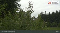 Archiv Foto Webcam Mehlmeisel im Fichtelgebirge 12:00