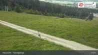 Archived image Webcam Fichtelgebirge - Mehlmeisel 16:00
