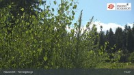 Archiv Foto Webcam Mehlmeisel im Fichtelgebirge 14:00