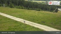 Archiv Foto Webcam Mehlmeisel im Fichtelgebirge 08:00