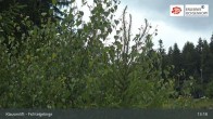 Archiv Foto Webcam Mehlmeisel im Fichtelgebirge 12:00