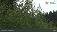 Archiv Foto Webcam Mehlmeisel im Fichtelgebirge 12:00