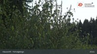 Archived image Webcam Fichtelgebirge - Mehlmeisel 02:00