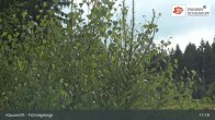 Archiv Foto Webcam Mehlmeisel im Fichtelgebirge 16:00