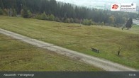 Archiv Foto Webcam Mehlmeisel im Fichtelgebirge 12:00