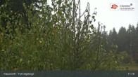 Archiv Foto Webcam Mehlmeisel im Fichtelgebirge 10:00