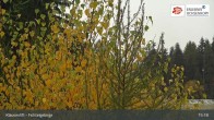 Archived image Webcam Fichtelgebirge - Mehlmeisel 14:00