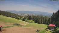 Archived image Webcam Weather Station St. Englmar-Hinterwies 11:00