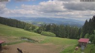 Archived image Webcam Weather Station St. Englmar-Hinterwies 11:00