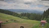 Archived image Webcam Weather Station St. Englmar-Hinterwies 13:00