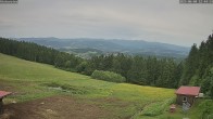 Archiv Foto Webcam Wetterstation Sankt Englmar-Hinterwies 11:00