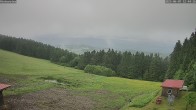 Archived image Webcam Weather Station St. Englmar-Hinterwies 11:00