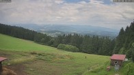 Archiv Foto Webcam Wetterstation Sankt Englmar-Hinterwies 11:00