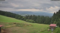 Archiv Foto Webcam Wetterstation Sankt Englmar-Hinterwies 13:00