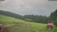 Archiv Foto Webcam Wetterstation Sankt Englmar-Hinterwies 11:00