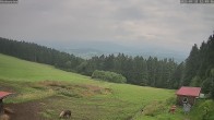 Archiv Foto Webcam Wetterstation Sankt Englmar-Hinterwies 11:00